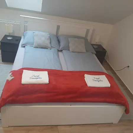 Πανσιόν Patak Vendeghaz