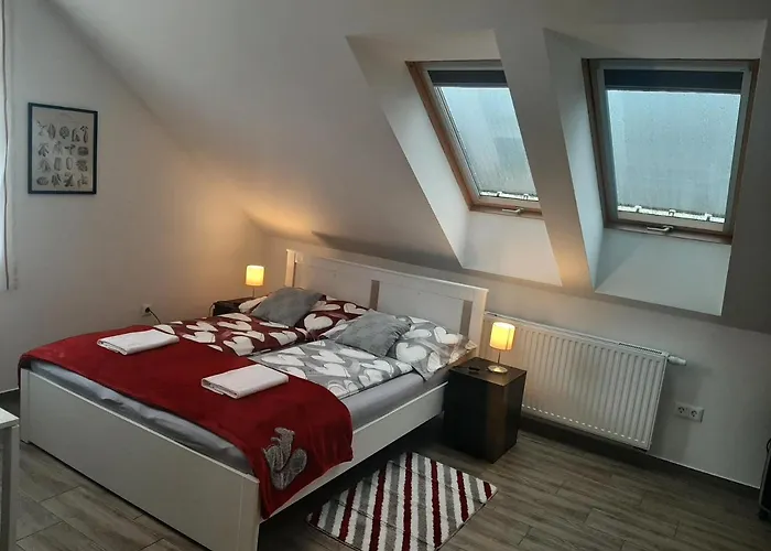 ゲストハウス Patak Vendeghaz